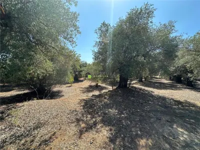 Teren intravilan pe insula Thassos, aproape de plaja salbatica - foto 2