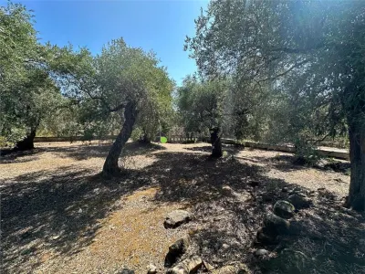 Teren intravilan pe insula Thassos, aproape de plaja salbatica - foto 11