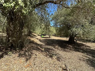 Teren intravilan pe insula Thassos, aproape de plaja salbatica - foto 12