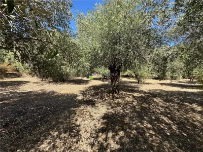 Teren intravilan pe insula Thassos, aproape de plaja salbatica - foto 13