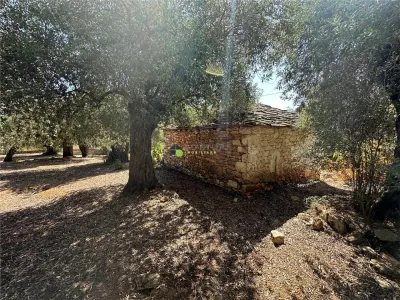 Teren intravilan pe insula Thassos, aproape de plaja salbatica - foto 18