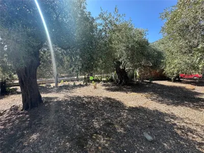 Teren intravilan pe insula Thassos, aproape de plaja salbatica - foto 10