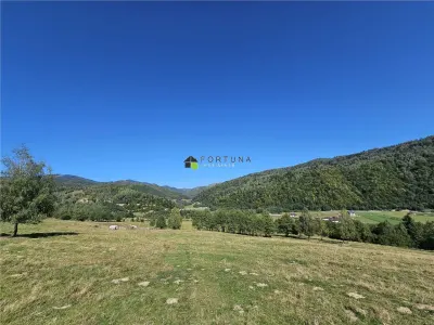 Teren intravilan, 21.000 mp, Zona Intre Barse, spre Plaiul Foii, Zarnesti - foto 2
