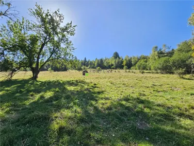 Teren intravilan, 21.000 mp, Zona Intre Barse, spre Plaiul Foii, Zarnesti - foto 3