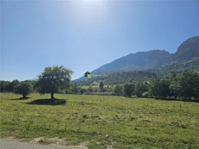 Teren intravilan, 21.000 mp, Zona Intre Barse, spre Plaiul Foii, Zarnesti - foto 4