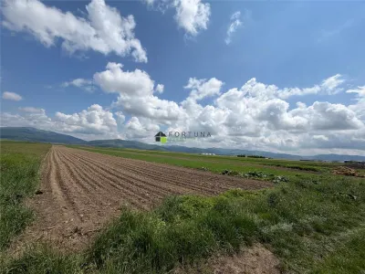 Teren extravilan 10.000 mp - Ieșire Prejmer spre Cărpiniș - foto 3
