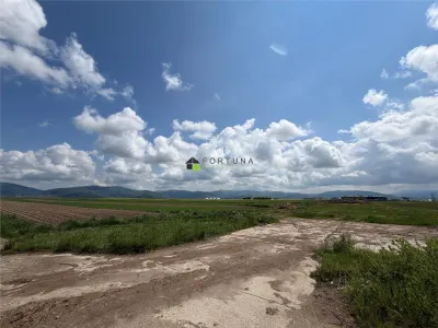 Teren extravilan 10.000 mp - Ieșire Prejmer spre Cărpiniș - foto 4