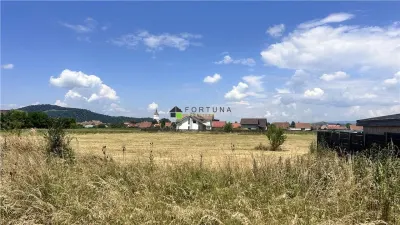 Teren intravilan - Harman - strada Aviatorilor  475 mp - foto 5