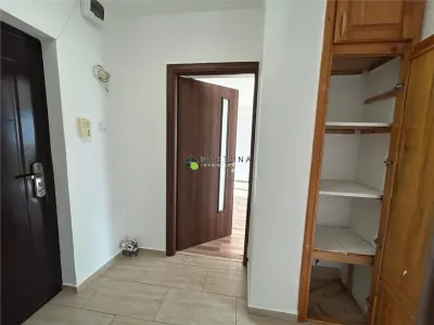 Oportunitate de investitie, garsoniera decomandata, Bld Vlahuta -Gemenii - foto 6