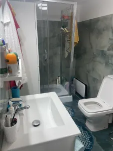 Casa de vanzare la Dumitresti , parter si etaj , mobilata si utilata , teren1347 mp - foto 8