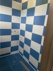 Casa de vanzare in Campineanca, parter si mansarda , suprafata 160 mp , teren 500 mp - foto 14
