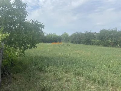 Casa si teren de vanzare in Suraia, zona Cimitirul central ,2087 mp , deschidere 52ml - foto 3