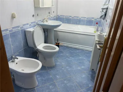 Apartament 2 camere ,56 mp,  zona Sala Polivalenta, renovat complet - foto 12