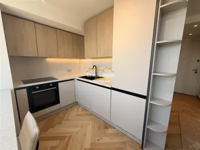 APARTAMENT SPECTACULOS PIATA VICTORIEI -PETRU RARES TERASA 80 MP - foto 7