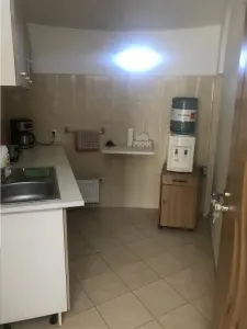 Cladire birouri  si hala , zona Golesti, suprafata teren 2365 mp - foto 7