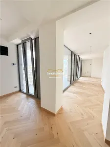APARATMENT SPECTACULOS PIATA VICTORIEI-PETRU RARES - foto 12