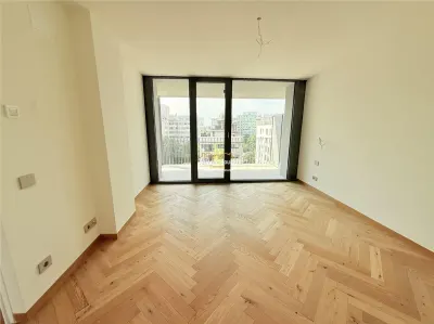 APARATMENT SPECTACULOS PIATA VICTORIEI-PETRU RARES - foto 8