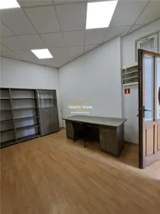 Vila birouri 375 mp, strada Plantelor /Foisorul de foc - foto 9