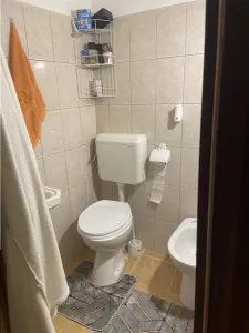 Apartament 3 camere , strada Pictor Grigorescu (b-dul Brailei ) , 72 mp , centrala termica individuala - foto 8