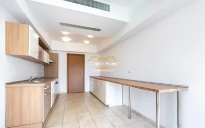 Apartament 260 mp Herastrau spectaculos Prima Linie -Vedere Park - foto 5