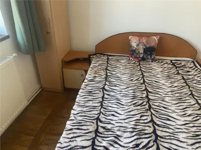 Apartament 2 camere, cartier Sud , et 3/4 , decomandat , centrala termica proprie - foto 8