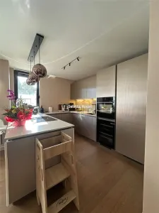 Triplex Vedere Lac Gradina Proprie 2 Locuri Parcare Subterana - foto 10