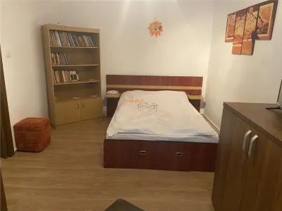 Garsoniera  de inchiriat , zona  b- dul Brailei , parter , decomandata , mobilata  si utilata , centrala termica - foto 9
