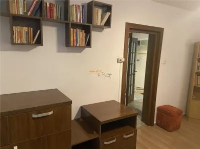 Garsoniera  de inchiriat , zona  b- dul Brailei , parter , decomandata , mobilata  si utilata , centrala termica - foto 10