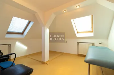 Piata Dorobanti, vila individuala cu finisaje de lux, - foto 19