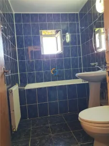 Apartament trei camere Eremia Grigorescu, liber - foto 2