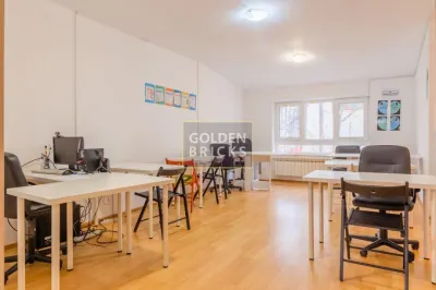 Piata Victoriei| Banu Manta | 15 camere | Metrou - foto 14