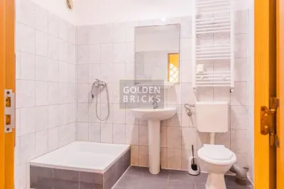 Piata Victoriei| Banu Manta | 15 camere | Metrou - foto 17