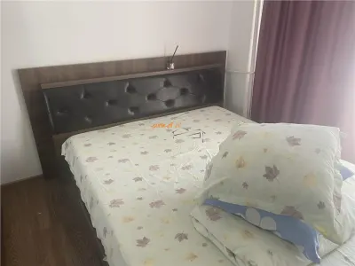 Apartament 3 camere , zona Scoala nr 10 - b-dul Unirii, decomandat , renovat , mobilat - foto 6