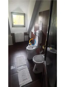 Casa traditionala / Pensiune  P+1, 9 camere, judet Tulcea, localitatea Partizani - foto 13