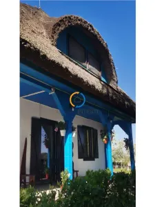 Casa traditionala / Pensiune  P+1, 9 camere, judet Tulcea, localitatea Partizani - foto 3