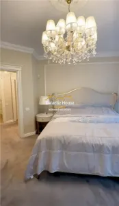 Apartament spectaculos Zona Primaverii /renovat complet - foto 9