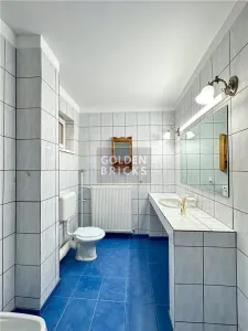 Piata Domenii | Prima inchiriere dupa renovare | 7 camere | Curte - foto 15