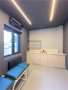 Aviatorilor | Kiseleff | Pentru Centru medical - foto 4