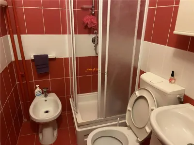 apartament 3 camere , zoma hipermarket Kaufland , parter , 70 mp , renovat integral , mobilat complet - foto 11