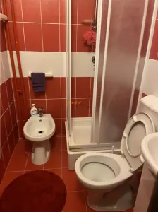apartament 3 camere , zoma hipermarket Kaufland , parter , 70 mp , renovat integral , mobilat complet - foto 12