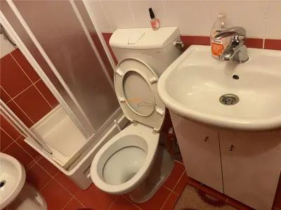 apartament 3 camere , zoma hipermarket Kaufland , parter , 70 mp , renovat integral , mobilat complet - foto 13