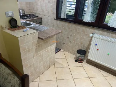 apartament 3 camere , zoma hipermarket Kaufland , parter , 70 mp , renovat integral , mobilat complet - foto 18