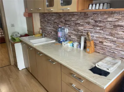 Apartament 3 camere , zona centrala , parter , renovat complet , 72 mp , liber - foto 22
