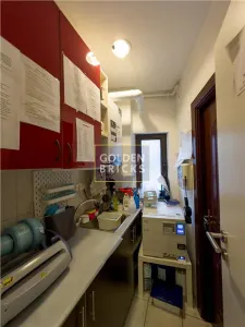 Cotroceni | Pretabila Clinica - Spa | Vila eleganta  | Terasa - foto 22