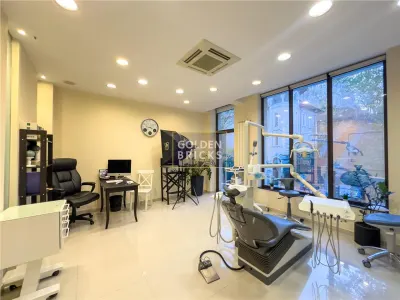 Cotroceni | Pretabila Clinica - Spa | Vila eleganta  | Terasa - foto 6