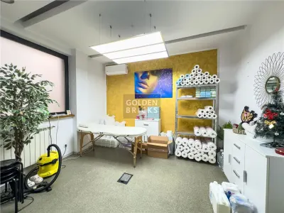 Piata Victoriei | 7 Camere | Metrou 4 ''| Vila Individuala - foto 11