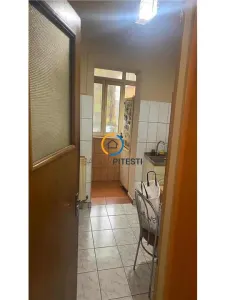 Apartament 3 camere Eremia Grigorescu, parter/4 - foto 2