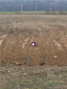 Teren 55.500 mp Snagov Lac - foto 3