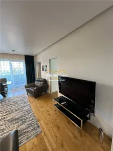 INCHIRIERE APARTAMENT LUX PREMIO BY NUSCO ROMANA -GRADINA ICOANEI - foto 6