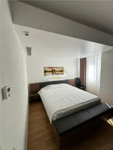 INCHIRIERE APARTAMENT LUX PREMIO BY NUSCO ROMANA -GRADINA ICOANEI - foto 10